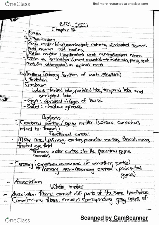 BIOL 2221 Lecture Notes - Lecture 15: Commissure, Wiki, Melanin thumbnail