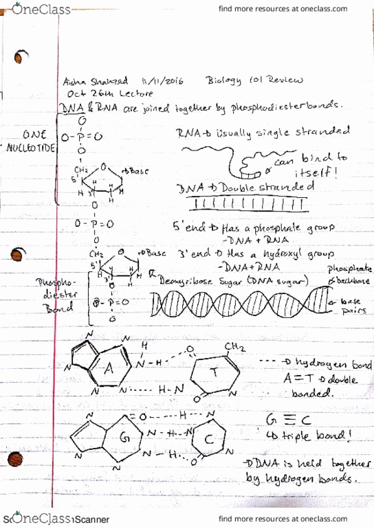 BIOL 101 Lecture Notes - Lecture 4: Aldehyde, Glycerol, Ney thumbnail