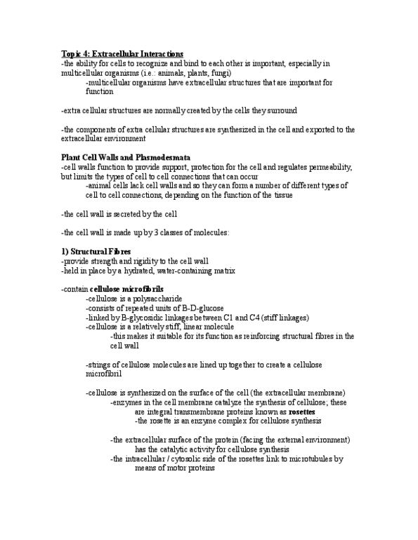 BIO 1140 Lecture Notes - Cell Wall, Middle Lamella, Microfibril thumbnail