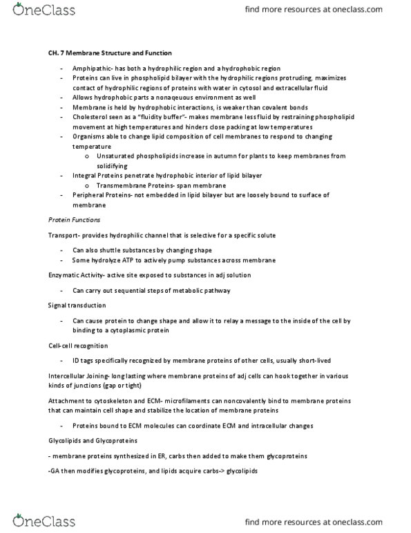 BIO SCI 93 Lecture Notes - Lecture 7: Active Transport, Transport Direct, Sucrose thumbnail