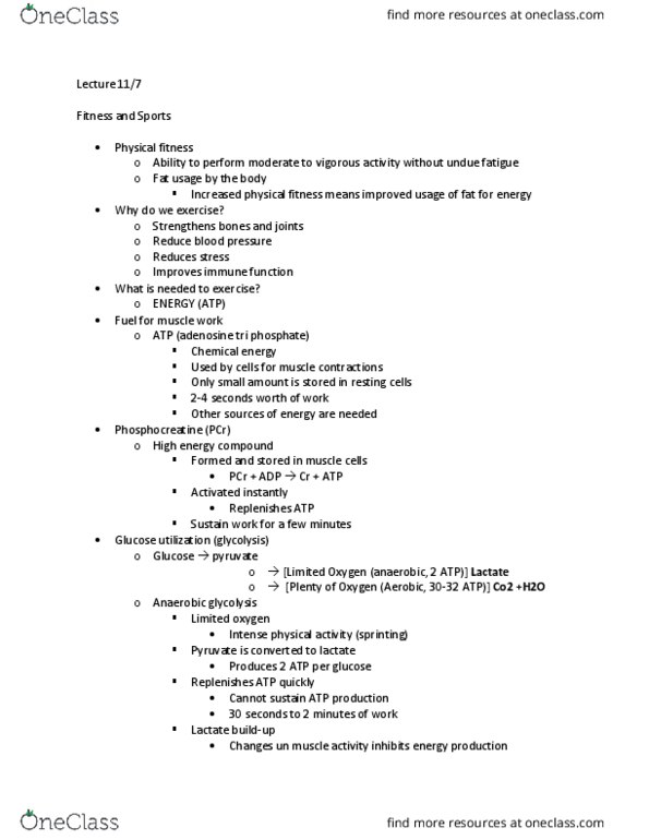 HUMNNTR 2210 Lecture Notes - Lecture 22: Pyruvic Acid, Glycogen, Carbohydrate thumbnail