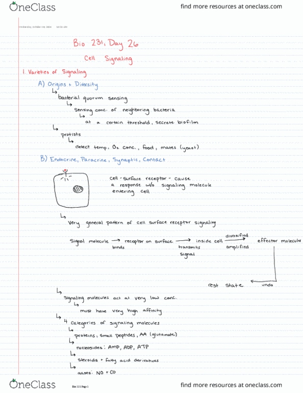 BIOL 23100 Lecture 26: Cell Signaling thumbnail