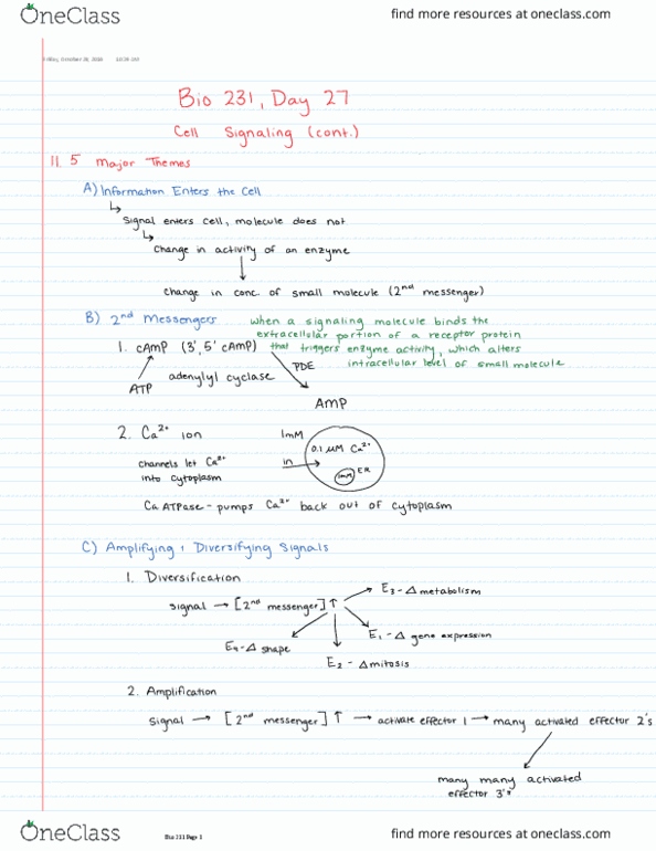 BIOL 23100 Lecture Notes - Lecture 27: Informa, Isoniazid, Adenylyl Cyclase thumbnail