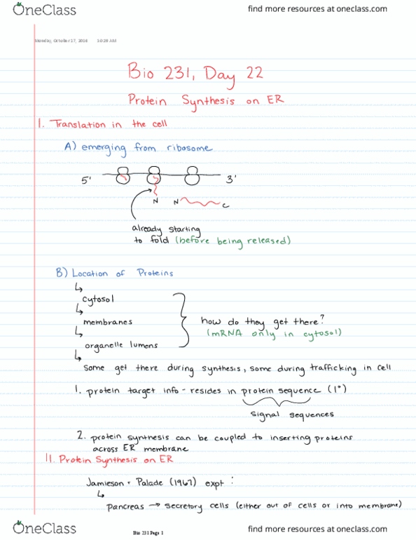 BIOL 23100 Lecture Notes - Lecture 22: Microrna, Horse Length, Inta thumbnail