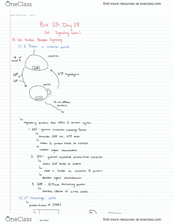 BIOL 23100 Lecture Notes - Lecture 28: Gtpase, Guanine, Hydrolysis thumbnail