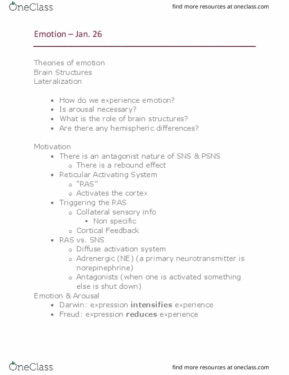 Psychology 1000 Lecture Notes - Lecture 2: Amygdala, Stationary Bicycle, Brainstem thumbnail