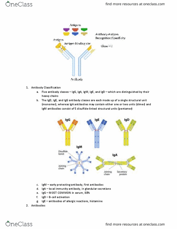 BPS 301 Lecture Notes - Lecture 7: Macrophage, Microorganism, Hypervariable Region thumbnail