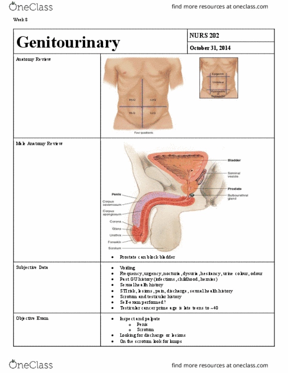 NURS 202 Lecture 8: Genitourinary thumbnail