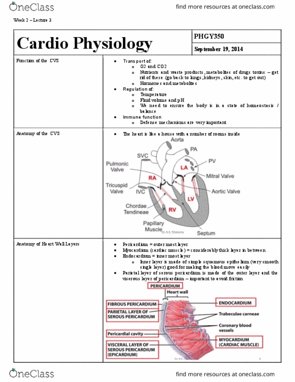 PHGY 350 Lecture Notes - Lecture 2: Arteriosclerosis, Autonomic Nervous System, Varicose Veins thumbnail