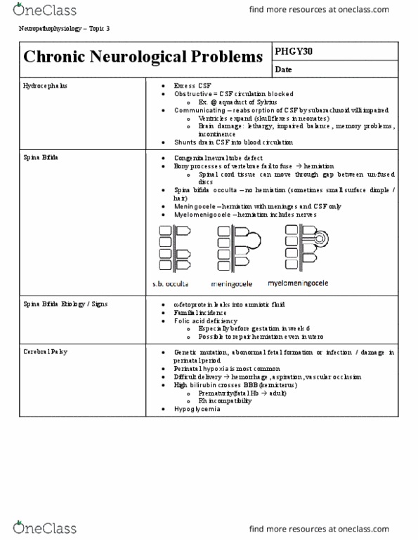 document preview image