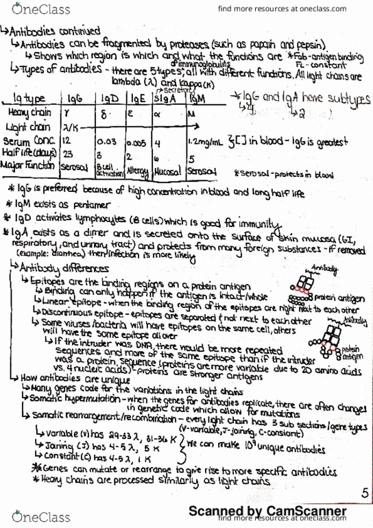 BPS 311 Lecture Notes - Lecture 3: Immunoglobulin A, Knom, Immunoglobulin D thumbnail