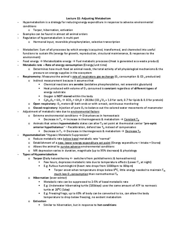 BIOL370 Lecture Notes - Lecture 11: Basal Metabolic Rate, Myosin Head, Respirometry thumbnail