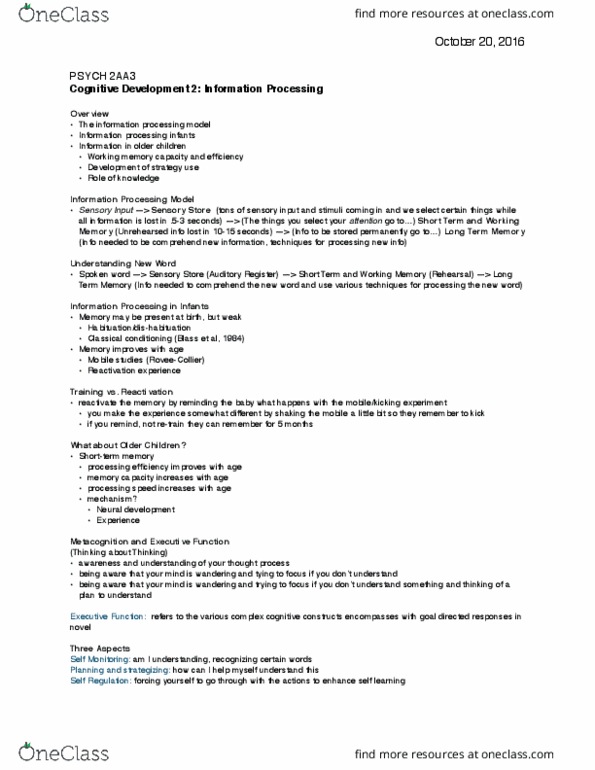 PSYCH 2AA3 Lecture Notes - Lecture 7: Prefrontal Cortex, Synaptic Pruning, Cognitive Development thumbnail