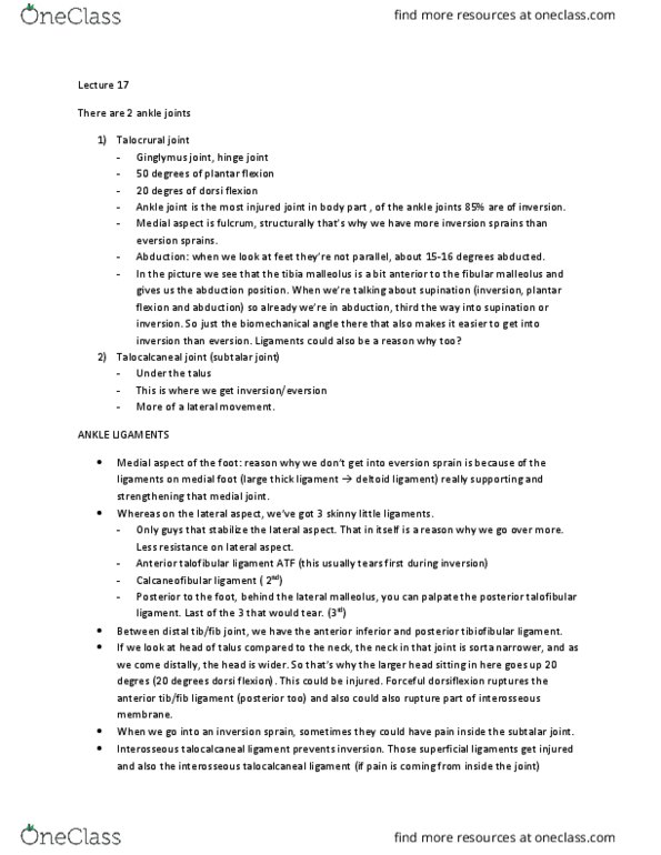 EXCI 253 Lecture Notes - Lecture 17: Shock Absorber, Calcaneal Spur, Metatarsal Bones thumbnail