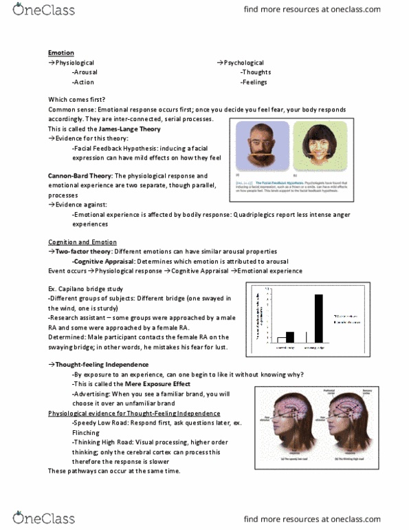 PSYC 1000 Lecture Notes - Lecture 19: Microexpression, Cerebral Cortex, Visual Processing thumbnail