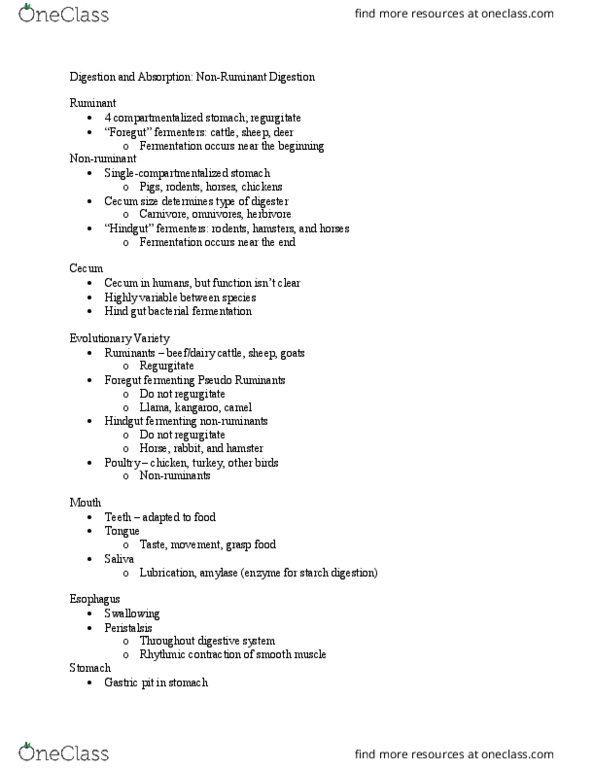 ANSC 101 Lecture Notes - Lecture 2: Trypsinogen, Ileum, Jejunum thumbnail