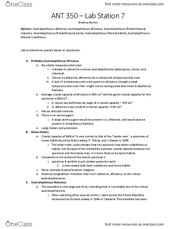 ANT 350 Lecture Notes - Lecture 25: Mary Leakey, Paranthropus Aethiopicus, Articular Tubercle thumbnail