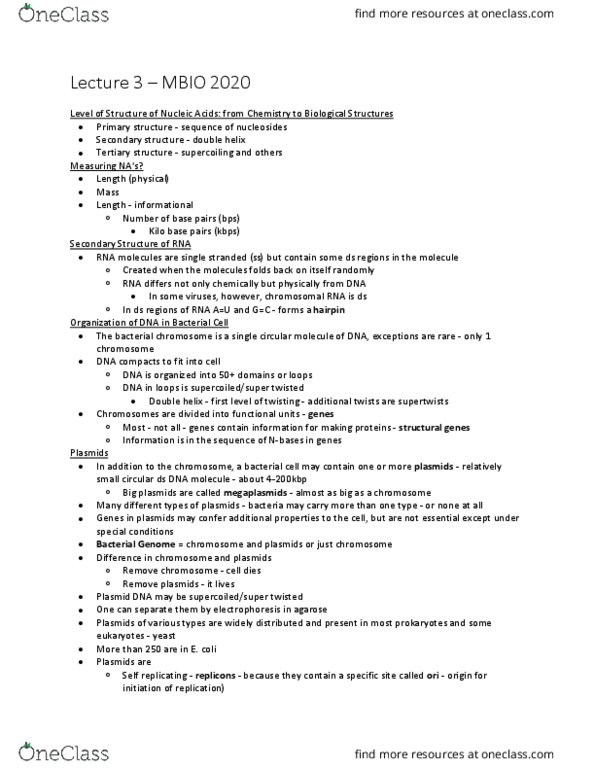 MBIO 2020 Lecture Notes - Lecture 3: Cell Envelope, Dna Replication, Cell Nucleus thumbnail