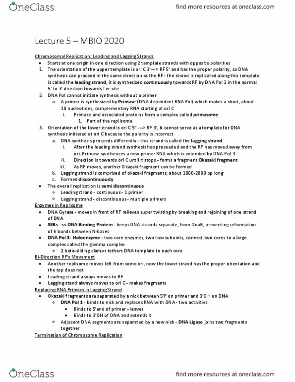 MBIO 2020 Lecture Notes - Lecture 5: 40 Minutes, Sigma Factor, Ribosomal Rna thumbnail