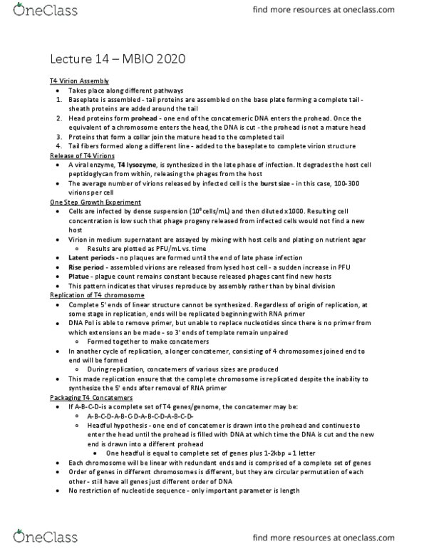 MBIO 2020 Lecture Notes - Lecture 14: Lysozyme, Enantioselective Synthesis, Virus thumbnail