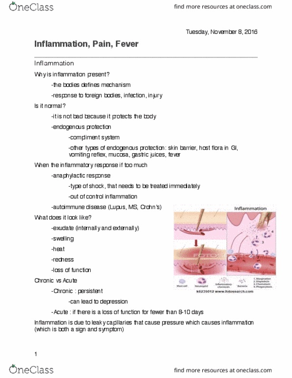 NURS215 Lecture 5: Lecture 5 : Inflammation, Pain, Fever thumbnail