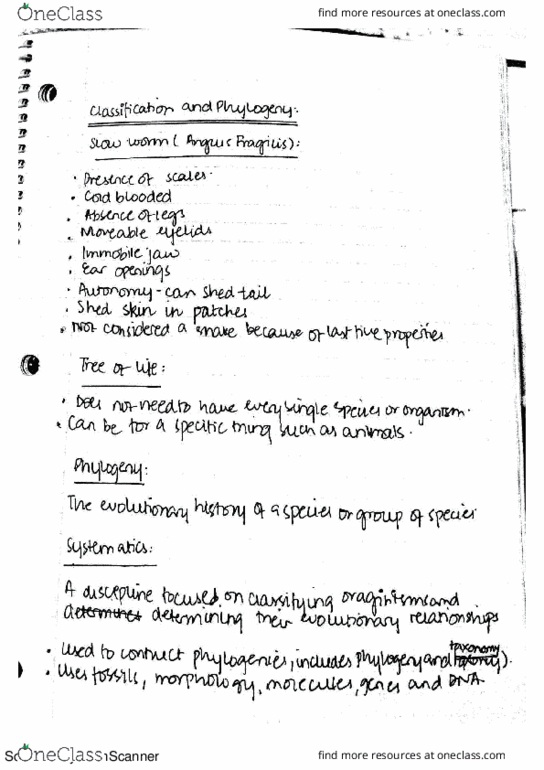 BIOA01H3 Lecture Notes - Lecture 7: Asus, Unrepresented Nations And Peoples Organization, Embryo thumbnail