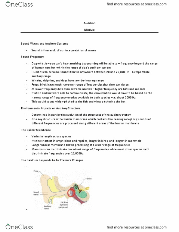 PSYCH 1XX3 Lecture Notes - Lecture 8: Oval Window, Basilar Membrane, Round Window thumbnail