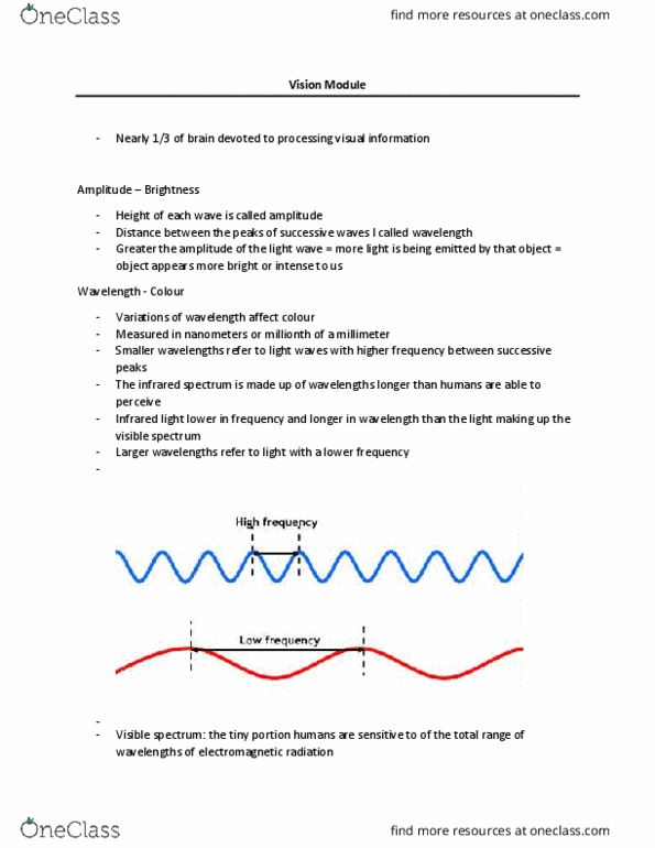 PSYCH 1XX3 Lecture Notes - Lecture 5: Vitreous Body, Visual Acuity, Ganglion Cell thumbnail