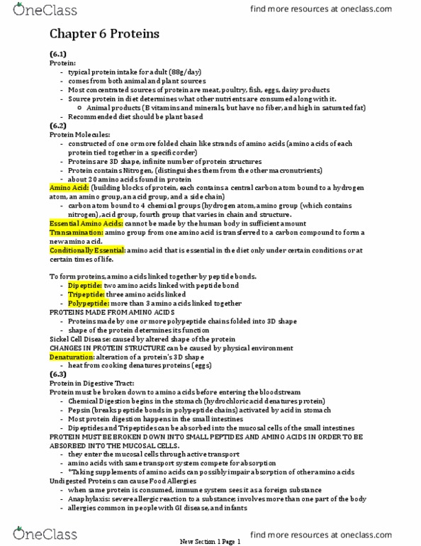 BIOS 12114 Chapter Notes - Chapter 6: High-Protein Diet, Soy Protein, Peptide thumbnail