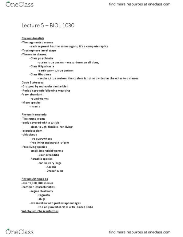 BIOL 1030 Lecture Notes - Lecture 5: Chelicerata, Leech, Oligochaeta thumbnail