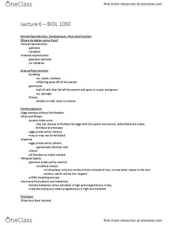 BIOL 1030 Lecture Notes - Lecture 6: Asexual Reproduction, Parthenogenesis, Cnidaria thumbnail