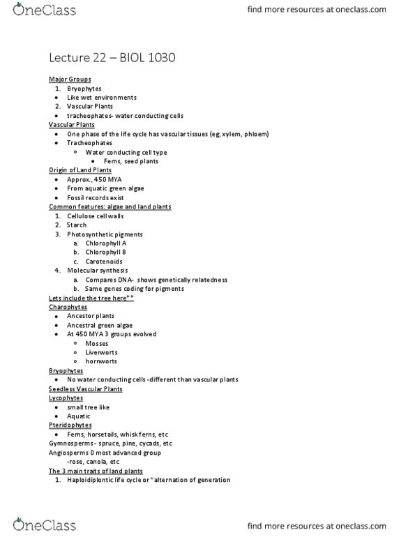 BIOL 1030 Lecture Notes - Lecture 22: Meristem, Oogamy, Sporophyte thumbnail