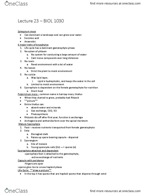 BIOL 1030 Lecture Notes - Lecture 23: Meristem, Archegonium, Polytrichum thumbnail