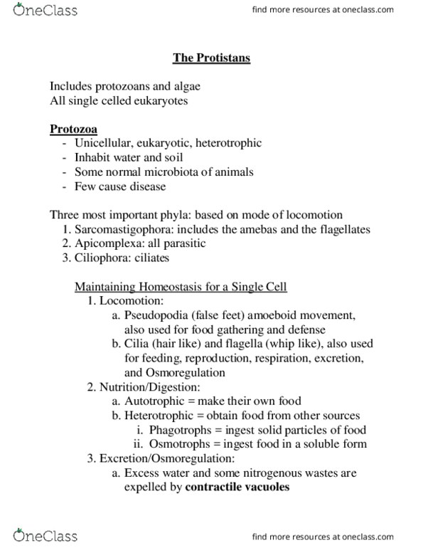 CAS BI 108 Lecture Notes - Lecture 4: Contractile Vacuole, Reproduction, Amoeboid Movement thumbnail