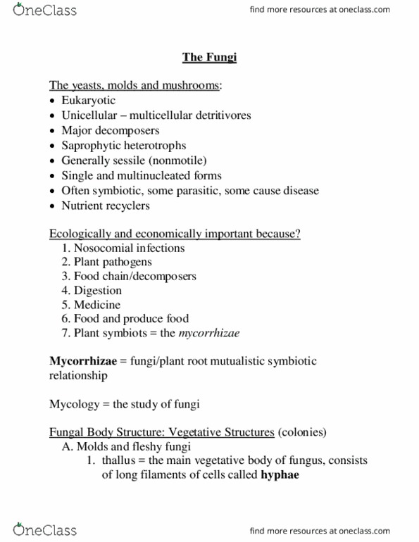 CAS BI 108 Lecture Notes - Lecture 3: Dimorphic Fungus, Hypha, Mycorrhiza thumbnail