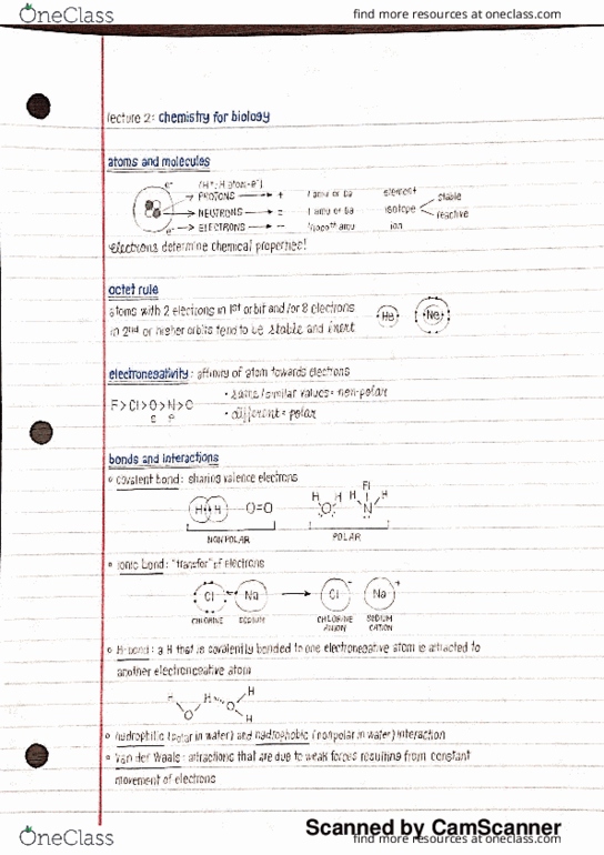 BIO 311C Lecture Notes - Lecture 2: Octet Rule, Ionic Bonding, Covalent Bond thumbnail