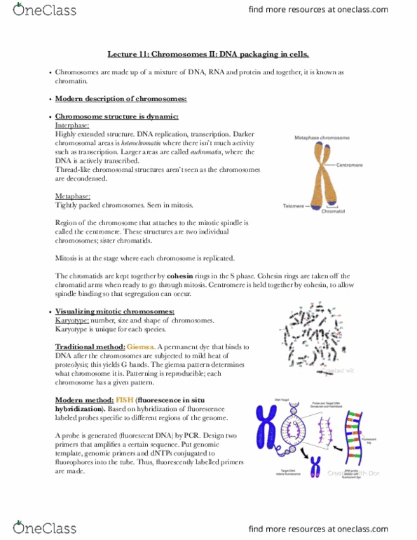 BIOL-UA 21 Lecture Notes - Lecture 11: Wd40 Repeat, Bromodomain, Histone H1 thumbnail