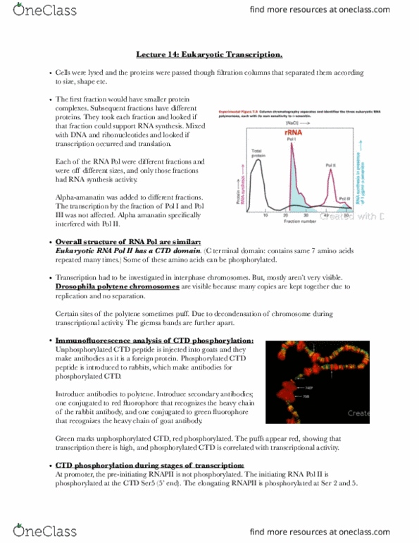 BIOL-UA 21 Lecture Notes - Lecture 14: Cpg Site, Tata Box, Column Chromatography thumbnail