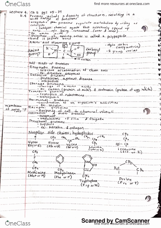 BIO SCI 93 Chapter Notes - Chapter 5: Carboy, Proposition Bet, Ovalbumin thumbnail