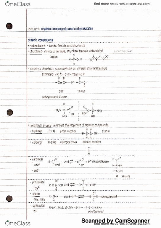 BIO 311C Lecture Notes - Lecture 4: Disulfide, Chemical Formula, Triose thumbnail