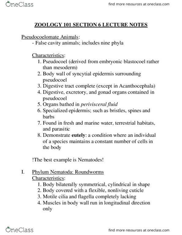 CAS BB 191 Lecture Notes - Lecture 6: Body Cavity, Hydrostatic Skeleton, Acanthocephala thumbnail