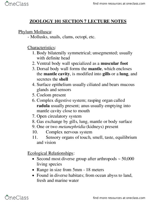 CAS BB 191 Lecture Notes - Lecture 7: Radula, Nephridium, Conchiolin thumbnail