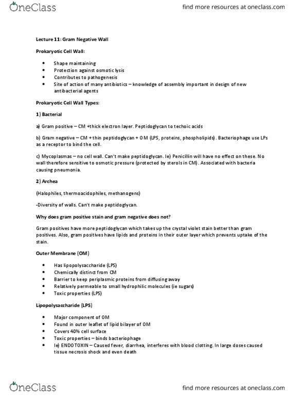 MICR 221 Lecture Notes - Lecture 11: Osmotic Shock, Crystal Violet, Thermoacidophile thumbnail