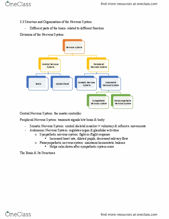 PSY100H1 Chapter Notes - Chapter 3.5: Parasympathetic Nervous System, Sympathetic Nervous System, Peripheral Nervous System thumbnail