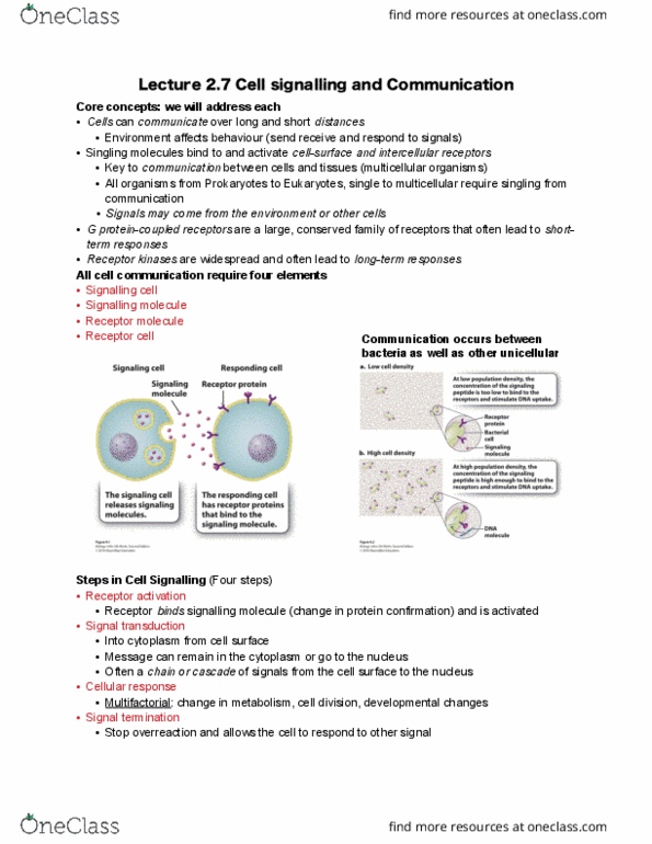 BIOA01H3 Lecture Notes - Lecture 7: Peptide, Transmembrane Protein, Intracellular Receptor thumbnail