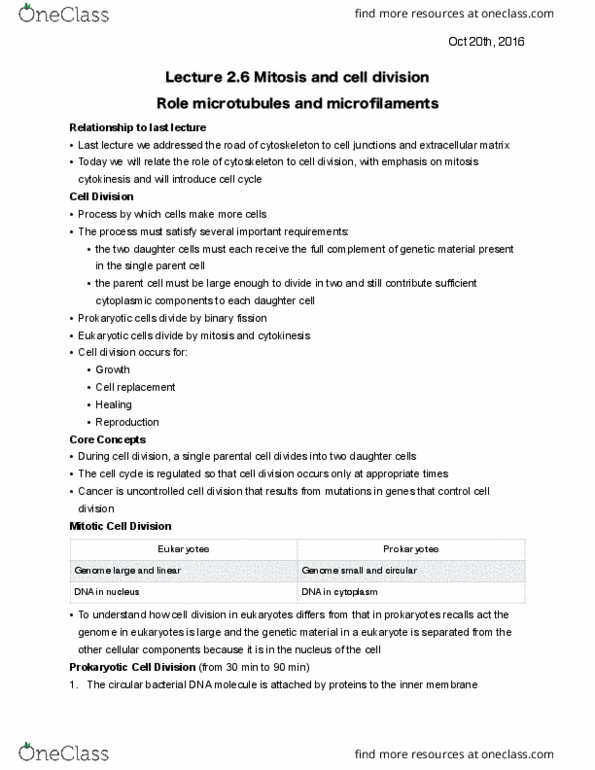 BIOA01H3 Lecture Notes - Lecture 6: Spindle Apparatus, Sister Chromatids, Nuclear Membrane thumbnail