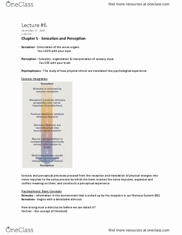 Psychology 1000 Lecture Notes - Lecture 6: Cochlear Nerve, Semicircular Canals, Basilar Membrane thumbnail