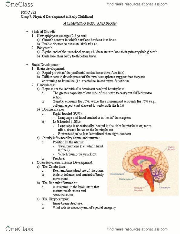 PSYC 333 Chapter Notes - Chapter 7: Pituitary Gland, Thyroid, Reticular Formation thumbnail