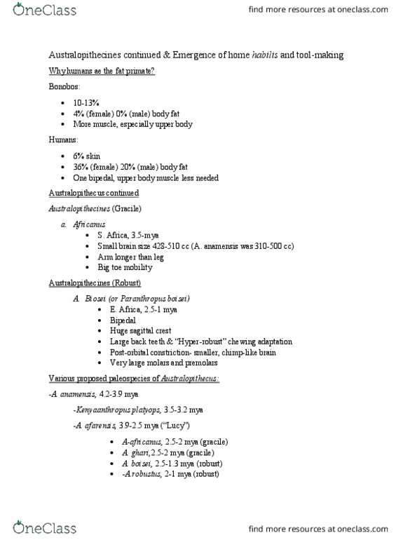 ANT 101 Lecture Notes - Lecture 11: Olduvai Gorge, Homo Habilis, Mary Leakey thumbnail