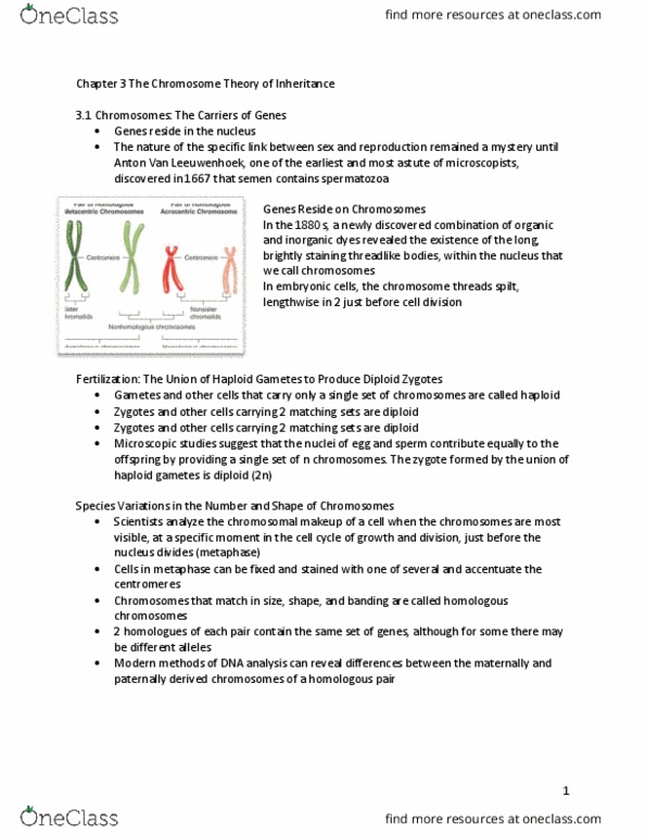 BIOL 2111 Chapter Notes - Chapter 3: Oocyte, Antonie Van Leeuwenhoek, Corpus Luteum thumbnail